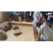 Viaje de 5to. grado 2015